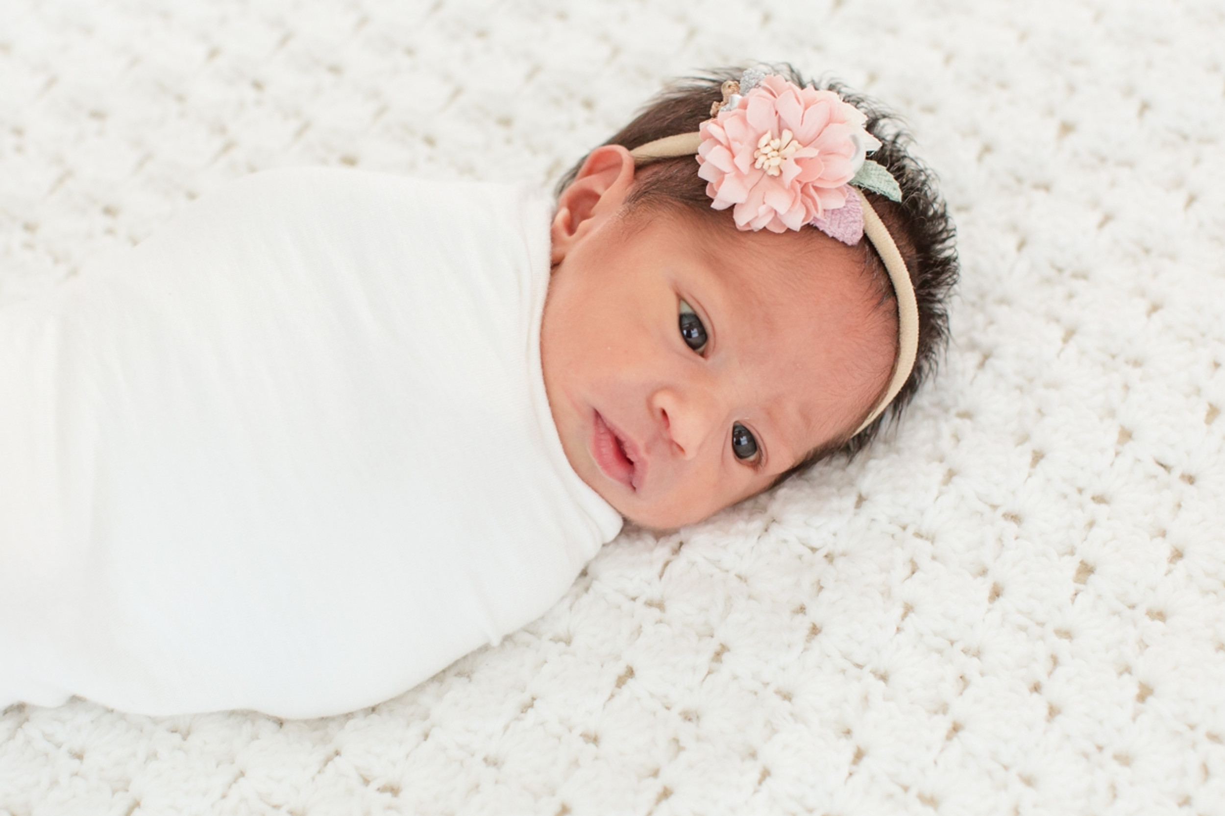 Welcome Anna Rose
