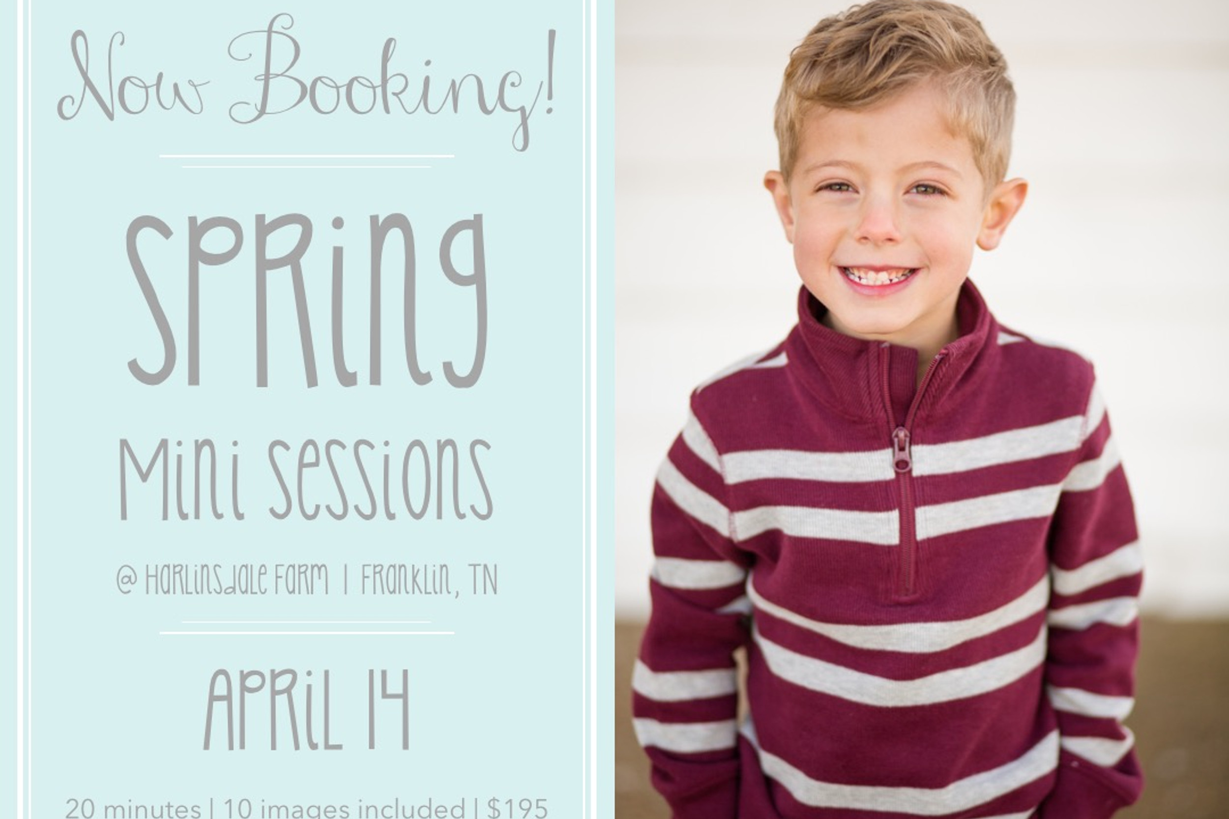 Spring Minis